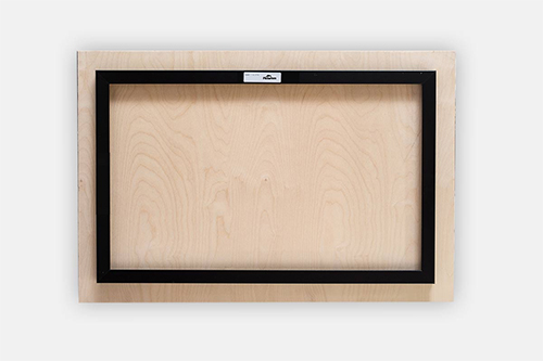 1897 Morgan Silver Dollar Metal print