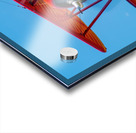 Flying Circus Acrylic print