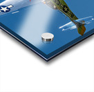 P-51D Mustang - Swamp Fox Acrylic print