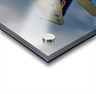 Gladiators Streaking Across the Sky Acrylic print