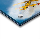 Freedom Acrylic print