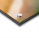 Hornet Collecting Bark for a Nest Acrylic print