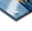 Home by the Sea Acrylic print