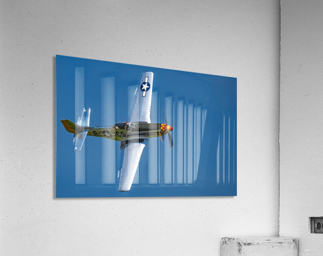 P-51D Mustang - Swamp Fox Acrylic Print