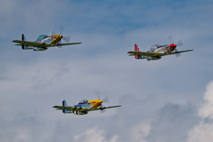 Flight Demonstration Team - Jack Aces
