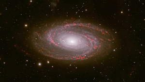 M81 Bode Galaxy