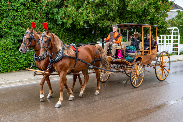 Horse and Carriage on Mackinac Island Print