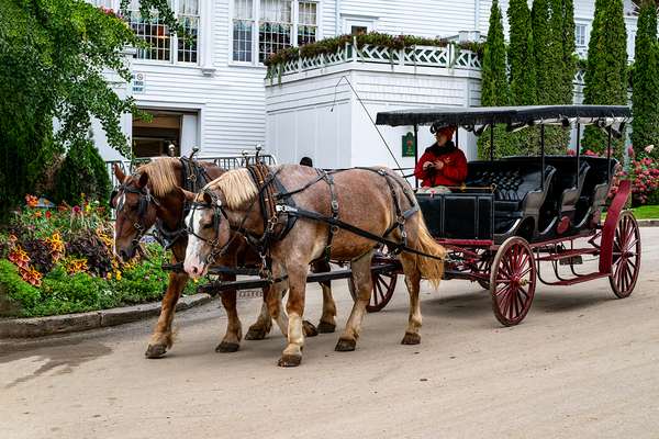 Horse and Carriage near The Grand Hotel Print