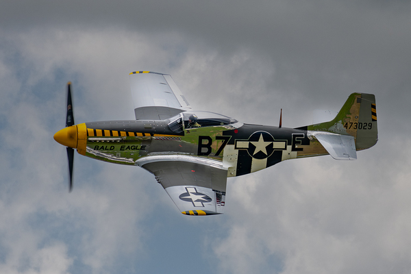 North American Aviation P-51D Mustang - Bald Eagle Print