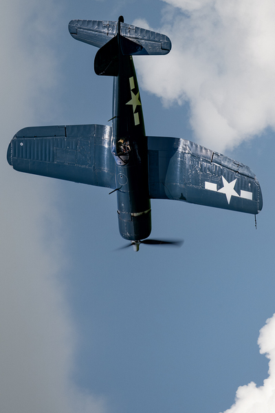 F4-U  FG-1D Corsair Print