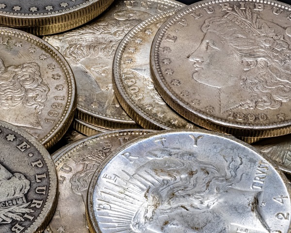 Silver Dollars Print