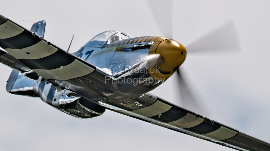 P-51 Mustang - Bald Eagle - Speed and Power  Print