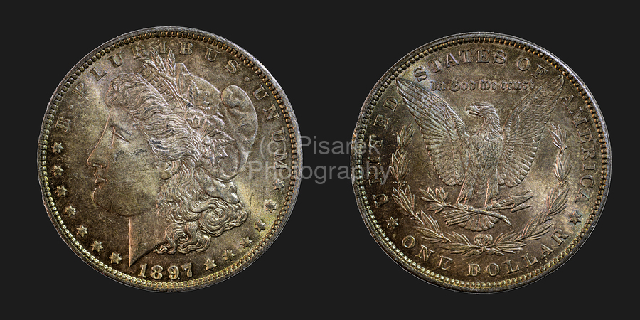 1897 United States Morgan Silver Dollar  Print