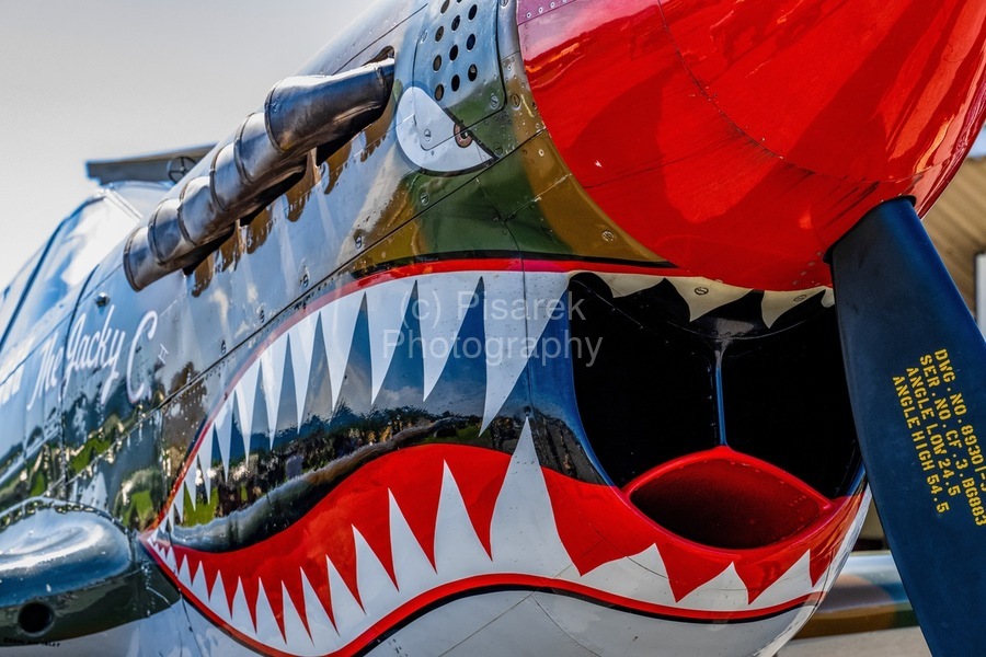 Curtiss P-40 Warhawk Nose Art  Imprimer