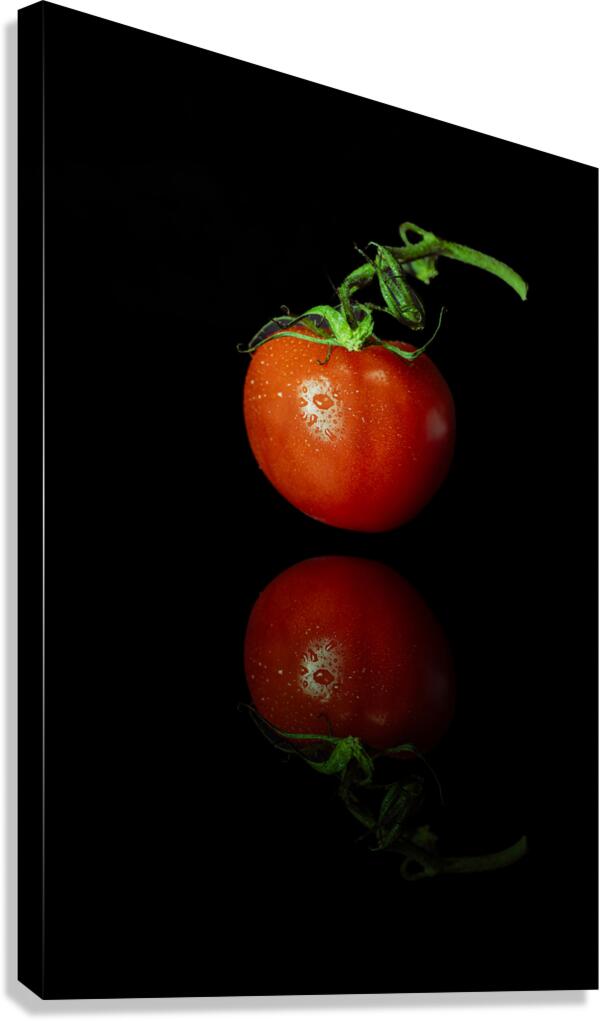 Tomato and Reflection Canvas Print