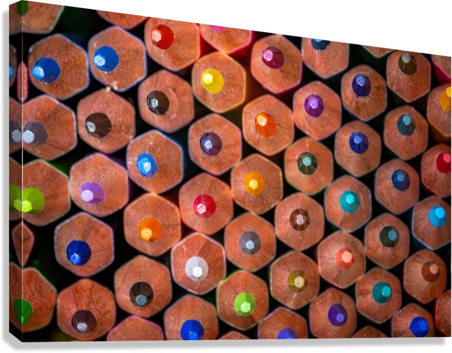 Color Pencils Canvas Print