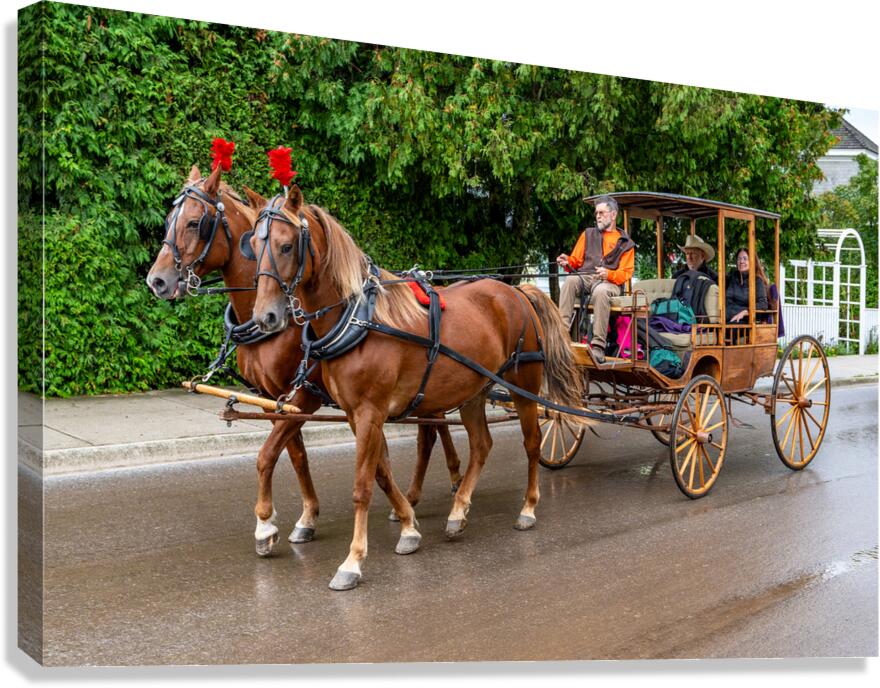 Horse and Carriage on Mackinac Island Canvas Print