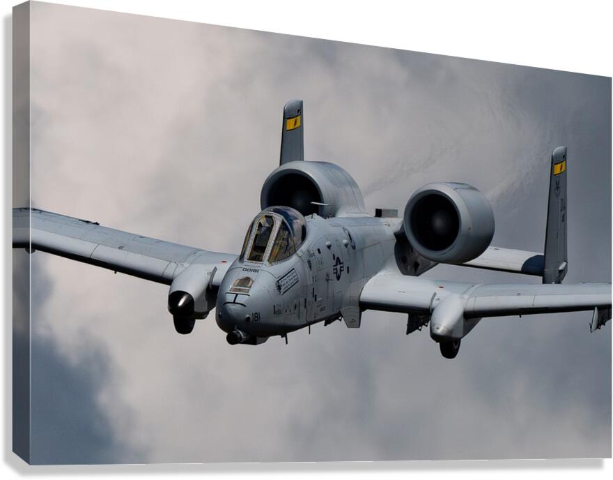 Fairchild Republic A-10 Warthog Canvas Print
