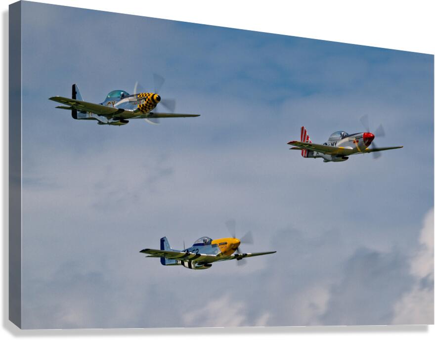 Flight Demonstration Team - Jack Aces Canvas Print