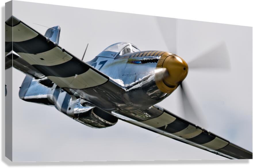P-51 Mustang - Bald Eagle - Speed and Power Canvas Print