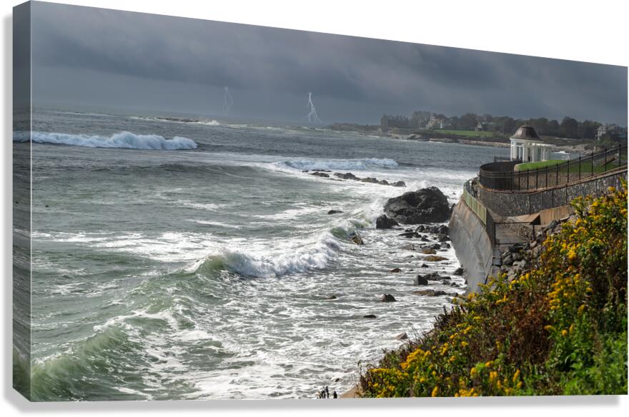 Storm is Coming Canvas Print