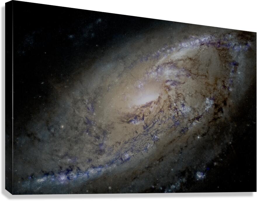 M106 - Spiral Galaxy Canvas Print