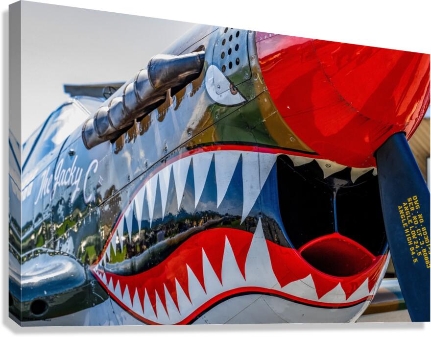 Curtiss P-40 Warhawk Nose Art Canvas Print