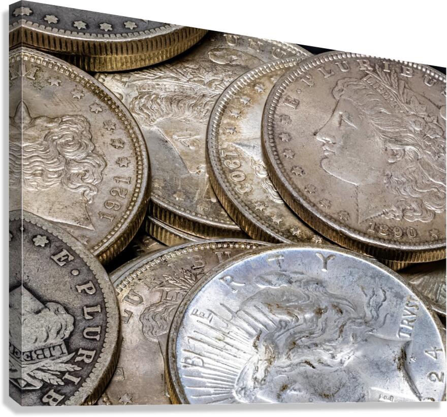 Silver Dollars Canvas Print