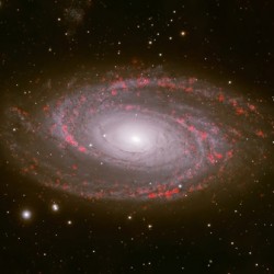 M81 Bode Galaxy