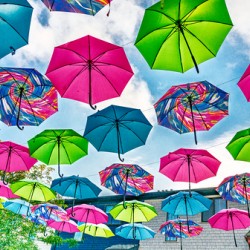 Umbrellas