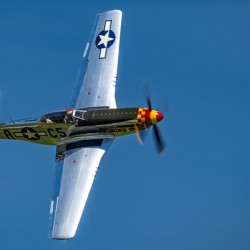 P-51D Mustang - Swamp Fox