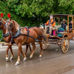 Horse and Carriage on Mackinac Island