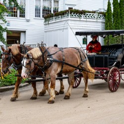 Horse and Carriage near The Grand Hotel