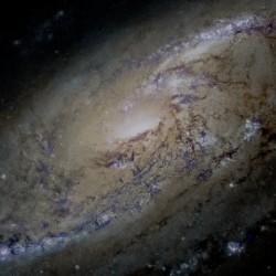 M106 - Spiral Galaxy