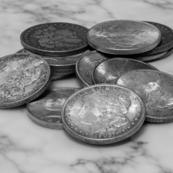 Silver Dollars on Marble