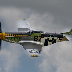 North American Aviation P-51D Mustang - Bald Eagle