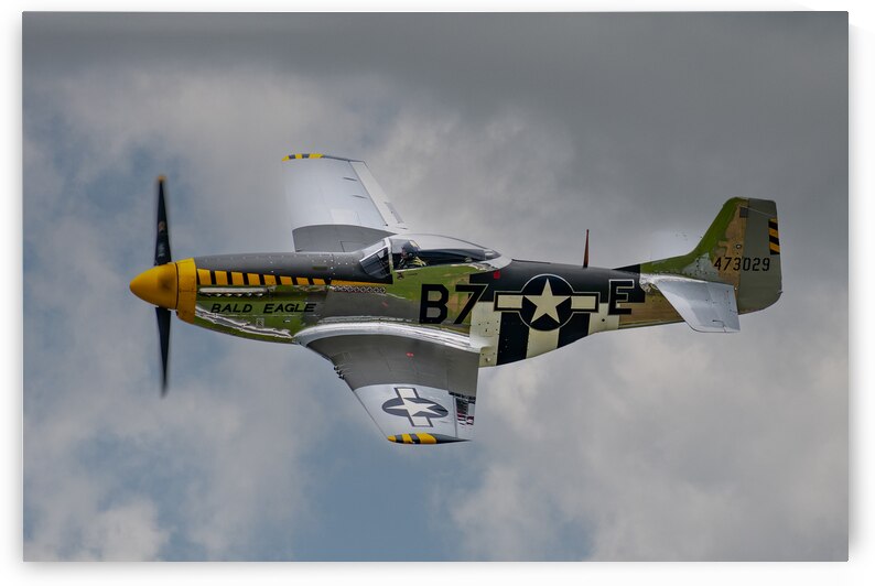 North American Aviation P-51D Mustang - Bald Eagle by Pisarek Photography