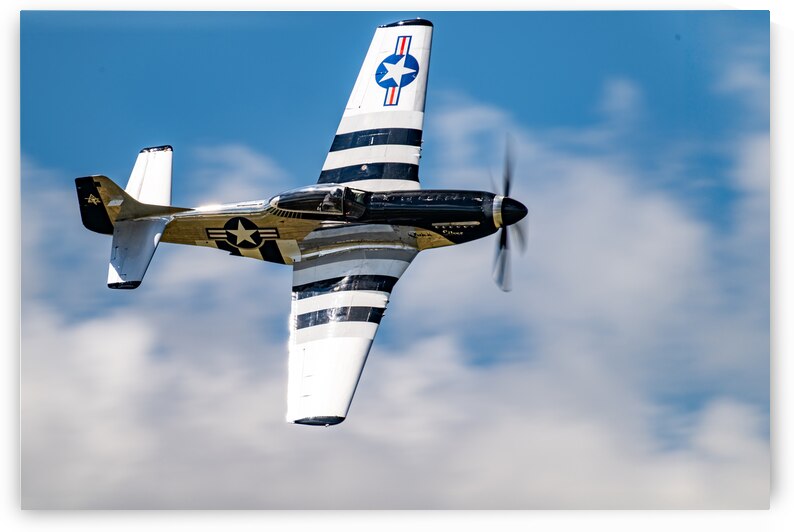 North American Aviation P-51D Mustang - Quick Silver by Pisarek Photography