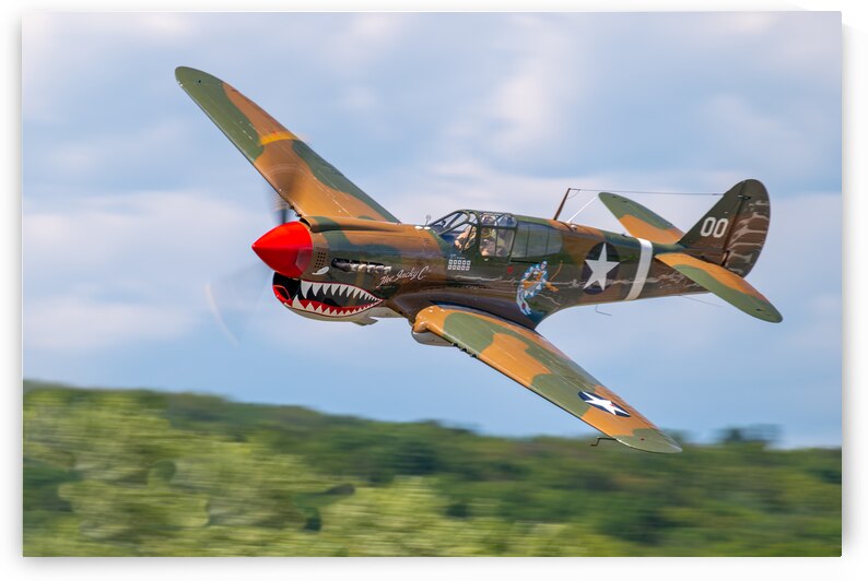 Curtiss P-40 Warhawk by Pisarek Photography