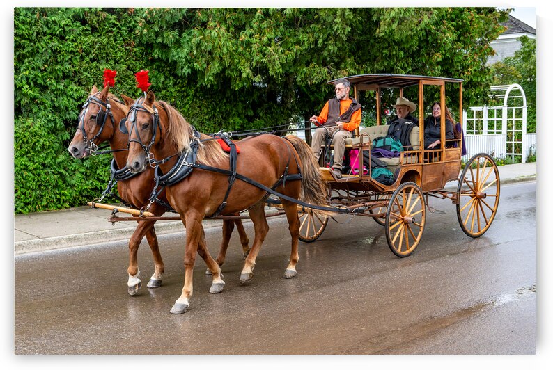 Horse and Carriage on Mackinac Island by Pisarek Photography