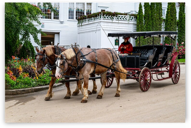 Horse and Carriage near The Grand Hotel by Pisarek Photography
