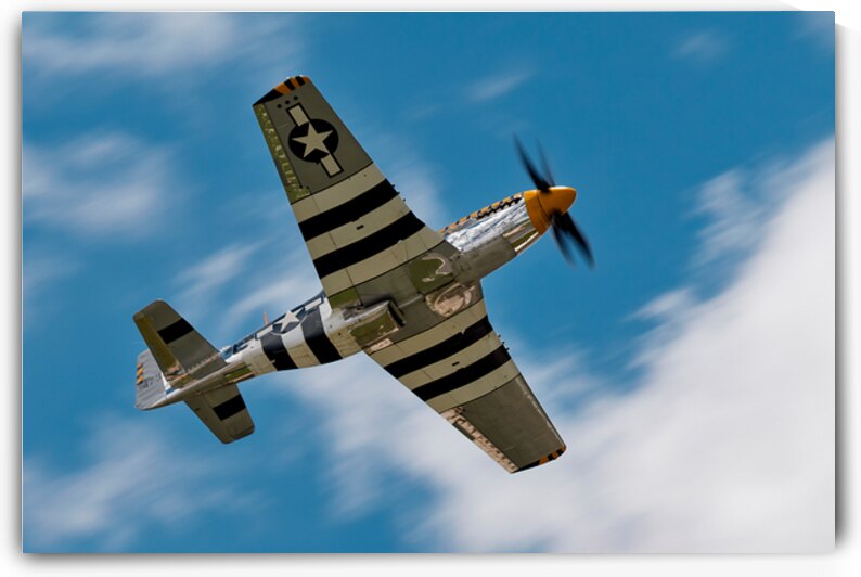 North American Aviation P-51 Mustang Bald Eagle by Pisarek Photography