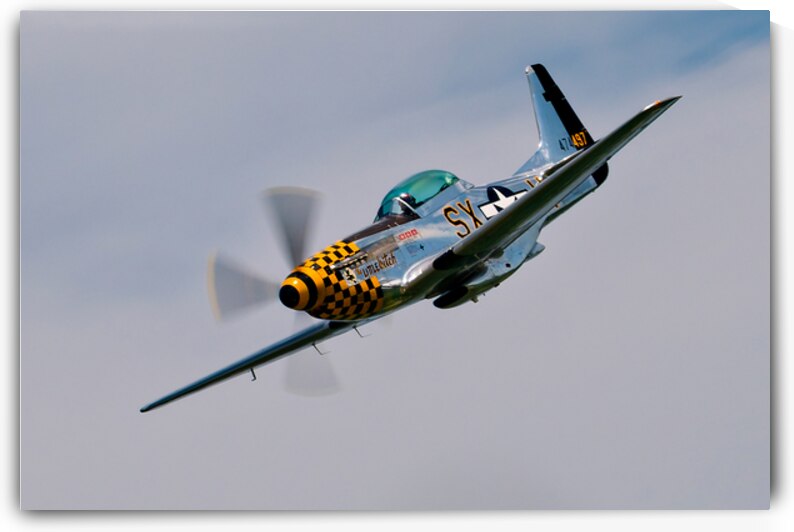 P-51 Mustang - Little Witch by Pisarek Photography