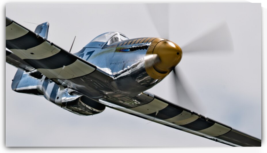 P-51 Mustang - Bald Eagle - Speed and Power by Pisarek Photography