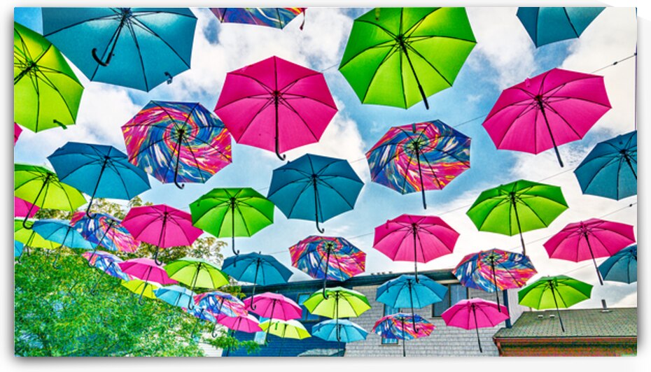 Umbrellas by Pisarek Photography