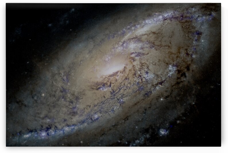 M106 - Spiral Galaxy by Pisarek Photography