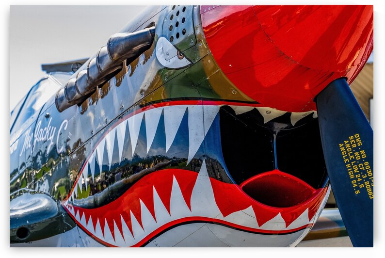 Curtiss P-40 Warhawk Nose Art by Pisarek Photography