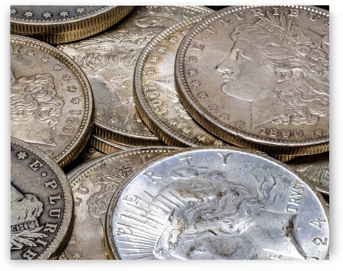 Silver Dollars by Pisarek Photography