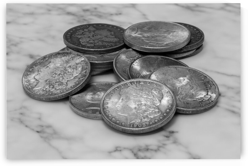 Silver Dollars on Marble by Pisarek Photography