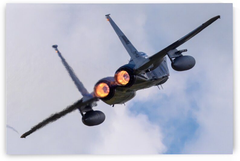 McDonnell Douglas USAF F-15 Eagle by Pisarek Photography